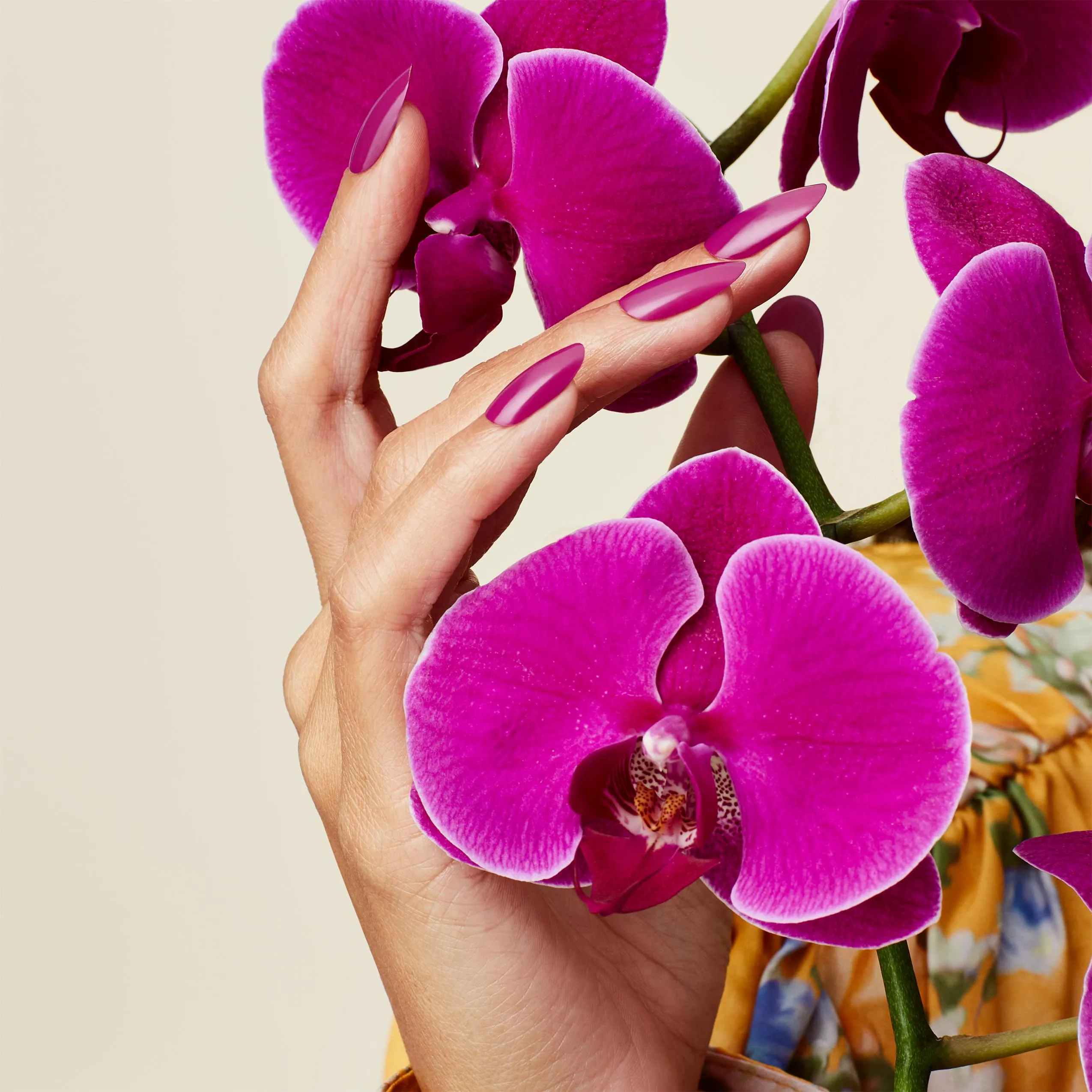 CND - Shellac Xpress5 Combo - Base, Top & Orchid Canopy (0.25 oz)