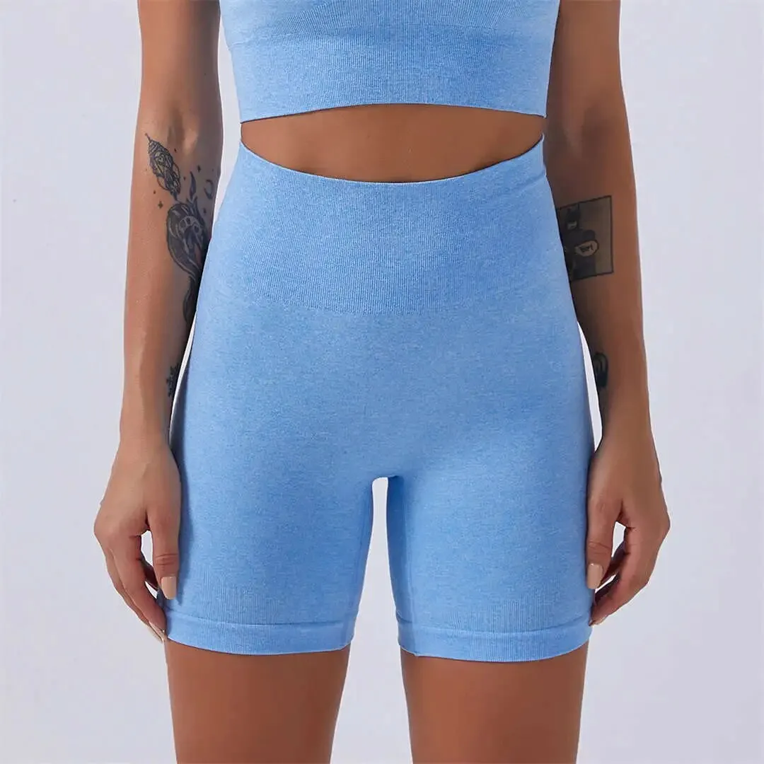 Gym Quick Dry Yoga Wear Fitness Set