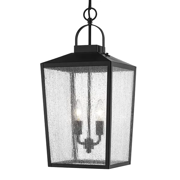 Millennium 2655 2-lt Outdoor Pendant