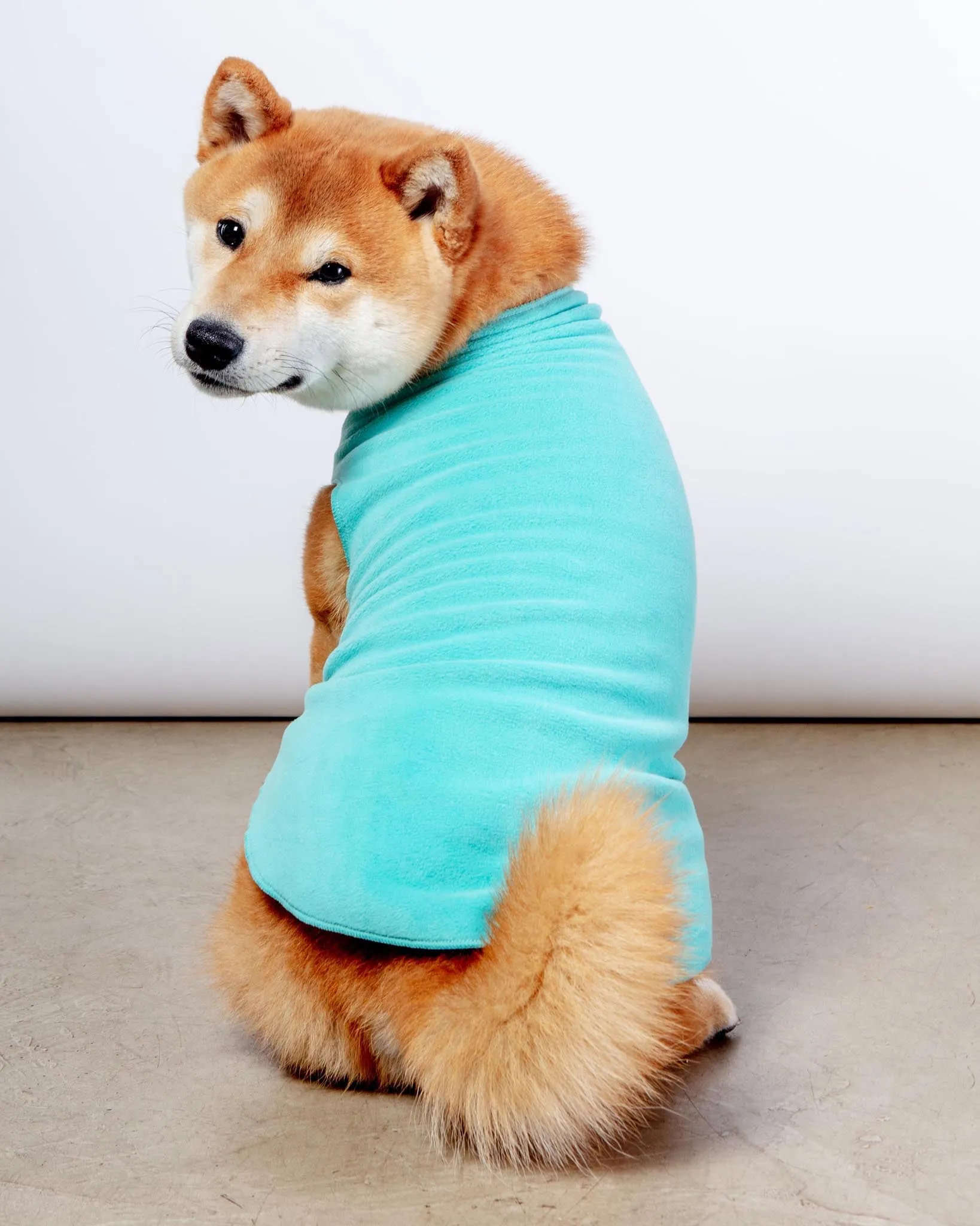 Stretch Fleece Pullover in Turquoise