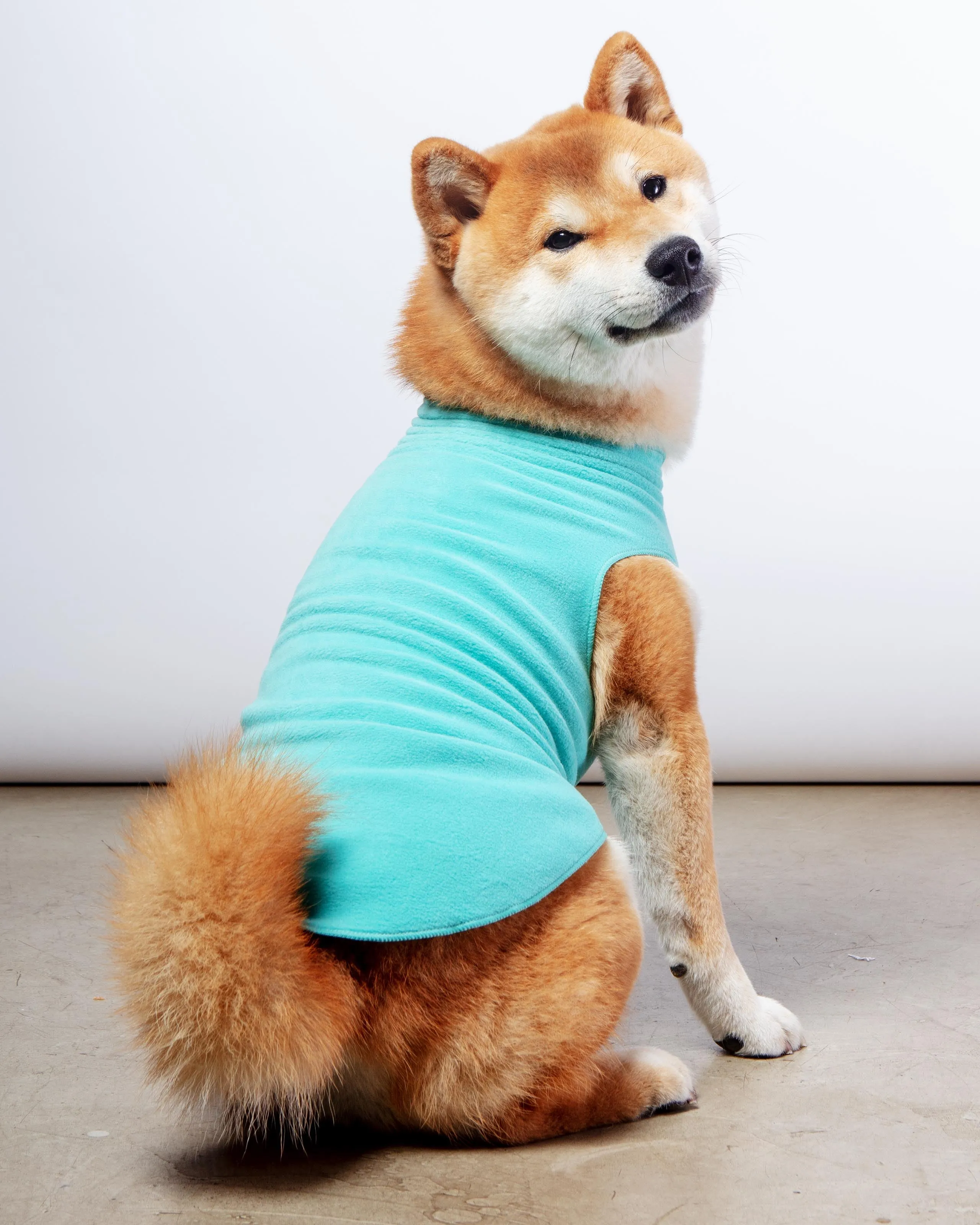 Stretch Fleece Pullover in Turquoise